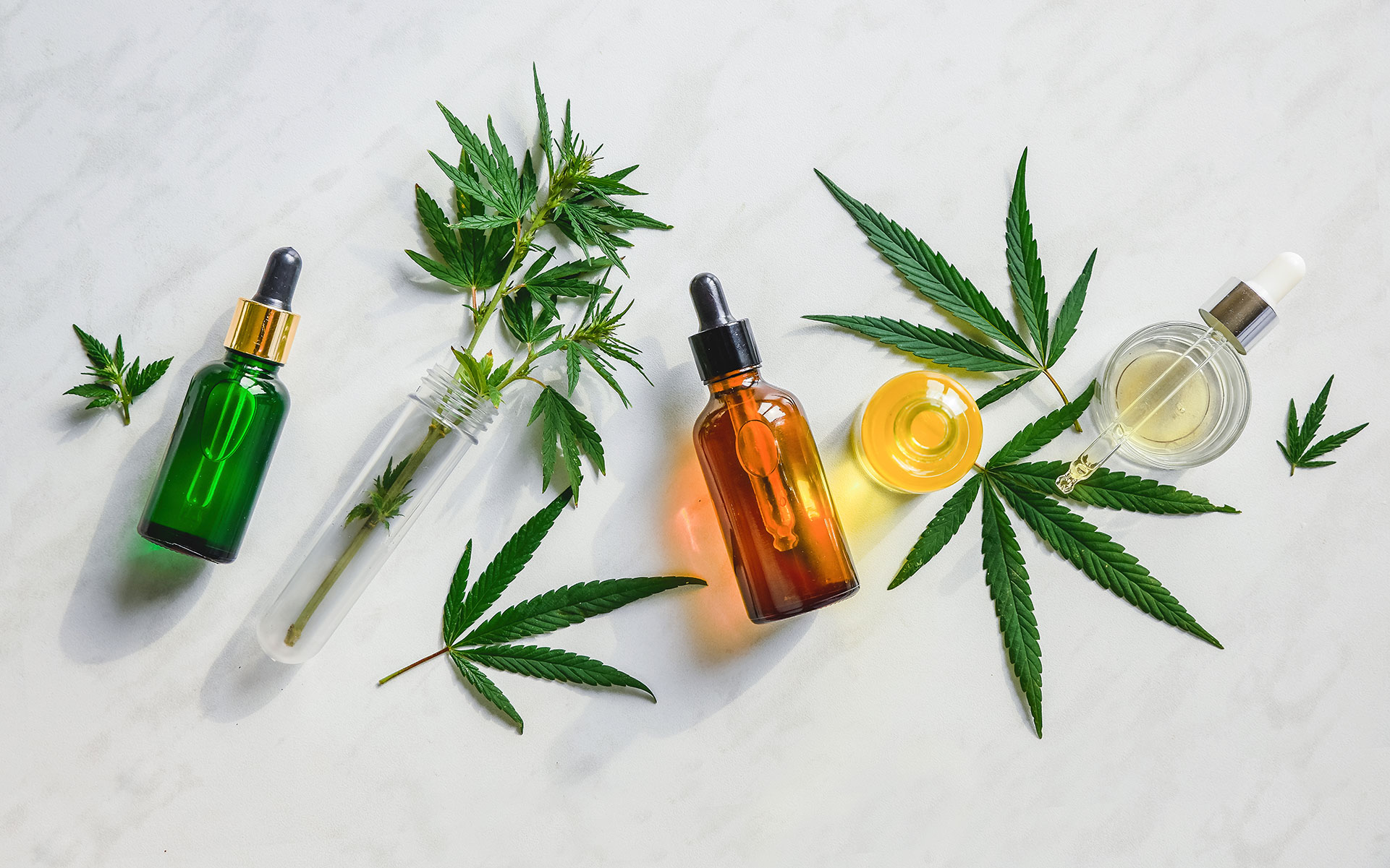 BEGINNERS GUIDE: THE BEST WAY TO TAKE CBD