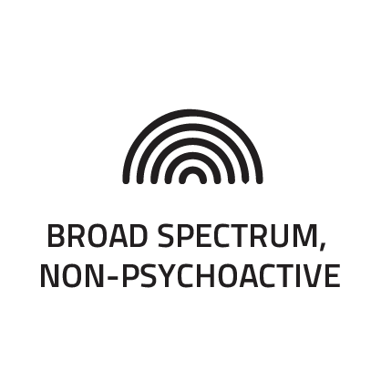 spectrum-icon-02